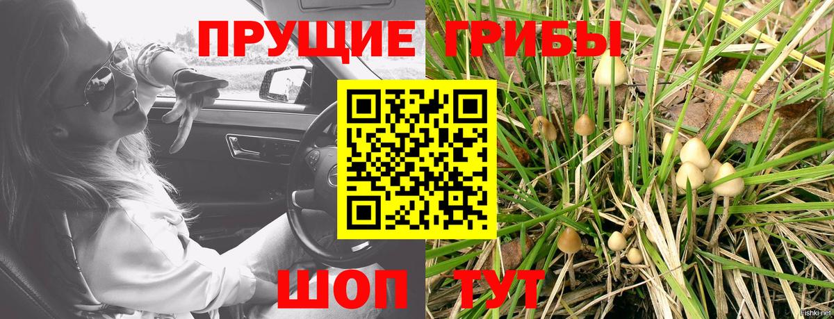 Алексин  Псилоцибиновые грибы мухоморы  Псилоцибиновые грибы Psilocybe  Вход с VPN 